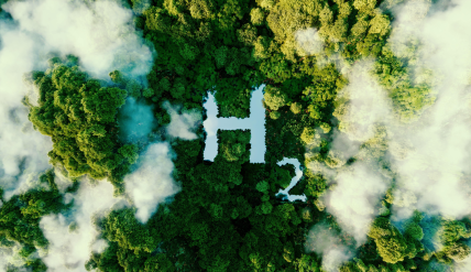 H2 sur fonds de forêt